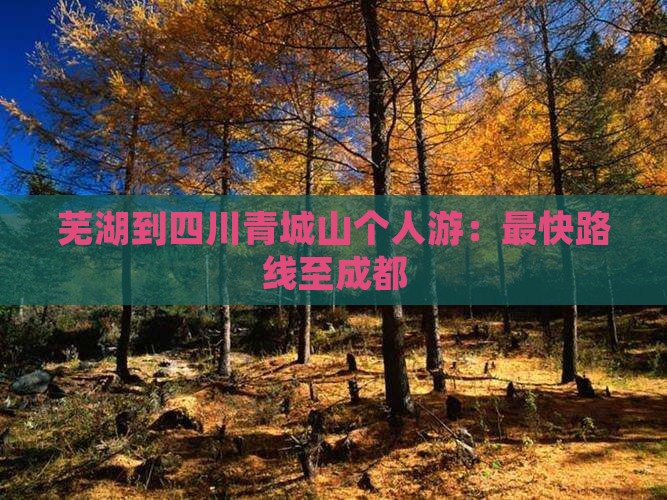 芜湖到四川青城山个人游：最快路线至成都