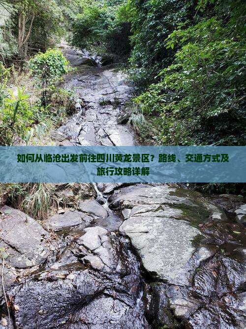 如何从临沧出发前往四川黄龙景区？路线、交通方式及旅行攻略详解