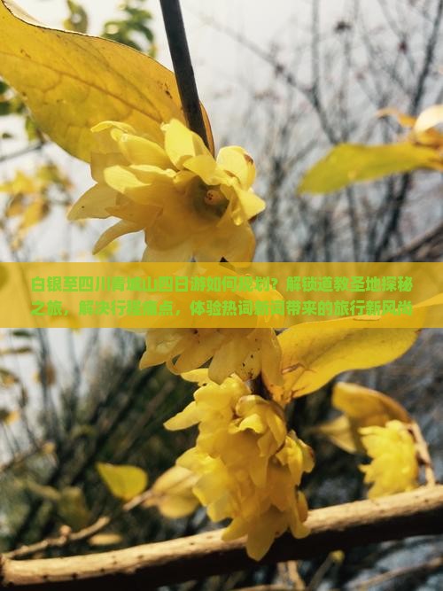 白银至四川青城山四日游如何规划？解锁道教圣地探秘之旅，解决行程痛点，体验热词新词带来的旅行新风尚！