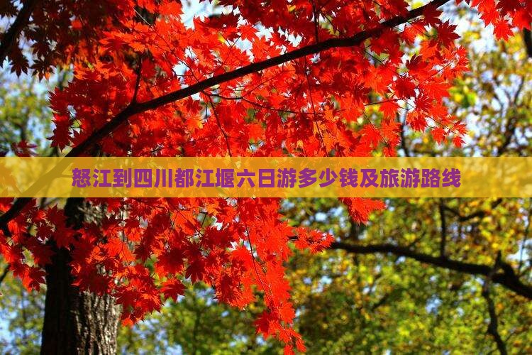怒江到四川都江堰六日游多少钱及旅游路线