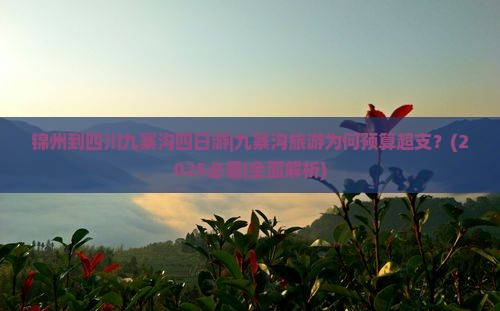 锦州到四川九寨沟四日游