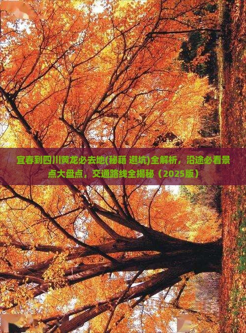 宜春到四川黄龙必去地