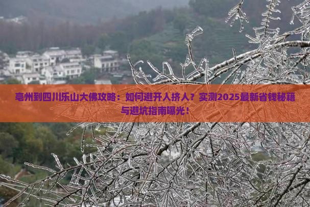 亳州到四川乐山大佛攻略