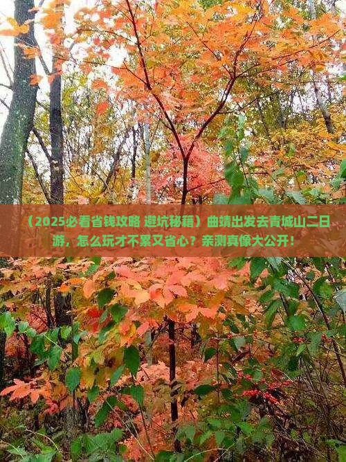 曲靖到四川青城山二日游