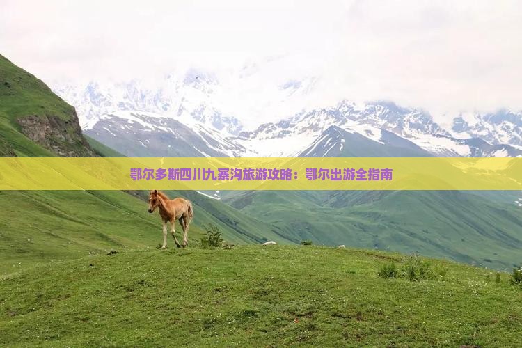 鄂尔多斯去四川九寨沟旅游