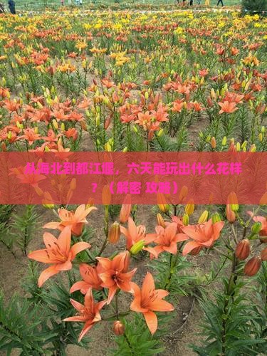 海北到四川都江堰六日游
