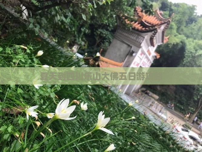 夏天到四川乐山大佛五日游