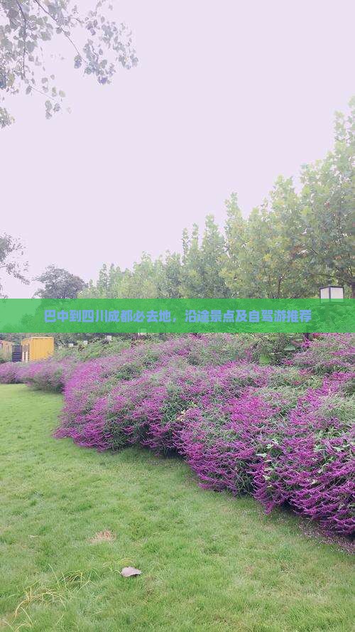 巴中到四川成都必去地