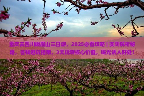 重庆去四川峨眉山三日游