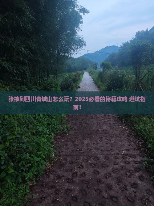 张掖到四川青城山旅游