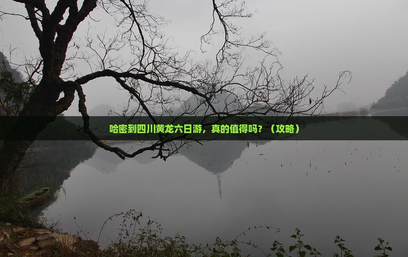 哈密到四川黄龙六日游