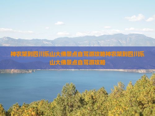 神农架到四川乐山大佛景点