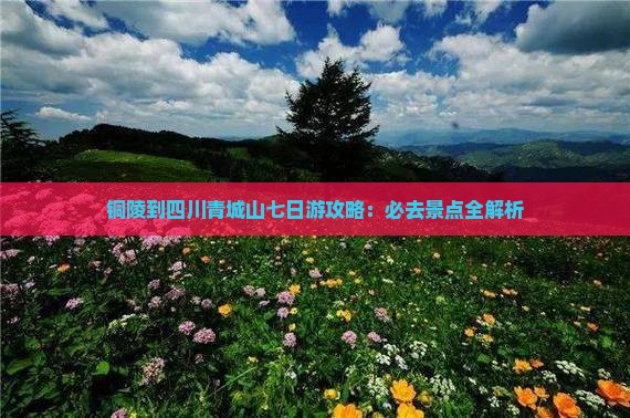 铜陵到四川青城山七日游
