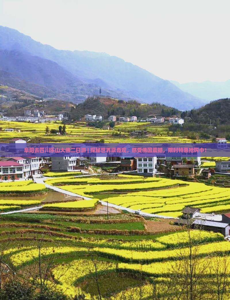 阜阳去四川乐山大佛二日游