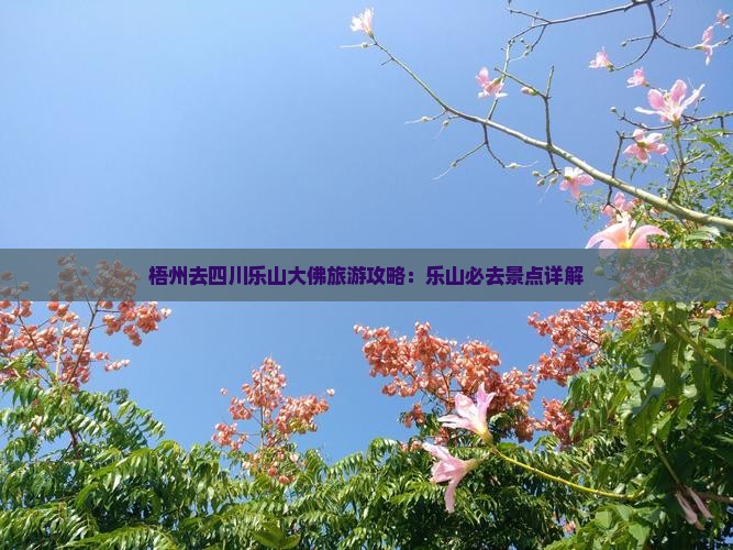 梧州去四川乐山大佛必去地
