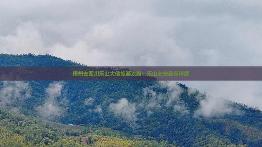 梧州去四川乐山大佛必去地