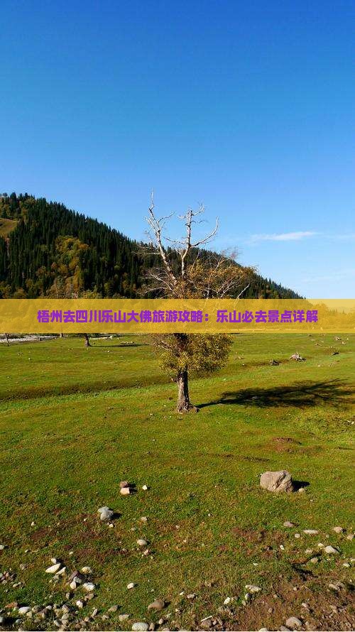 梧州去四川乐山大佛必去地