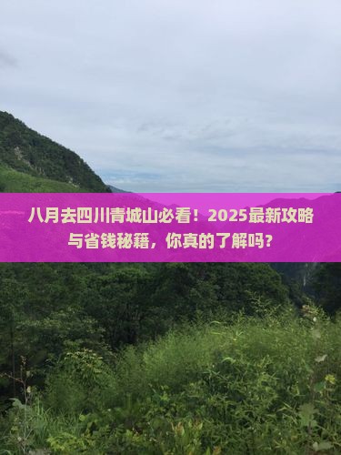 八月去四川青城山景点