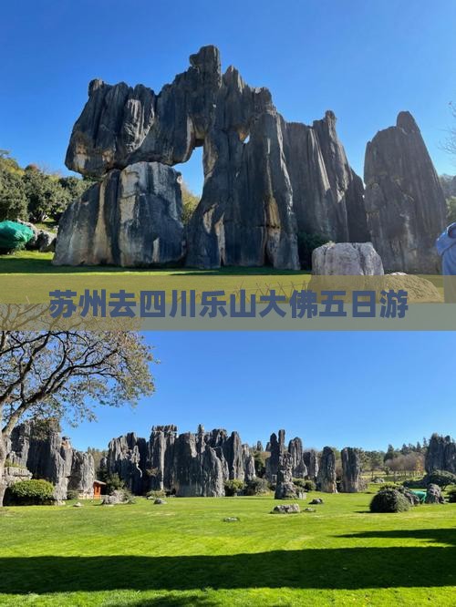 苏州去四川乐山大佛五日游
