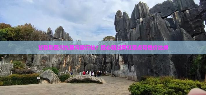 甘孜到四川九寨沟旅行社？担心错过网红景点和性价比缚