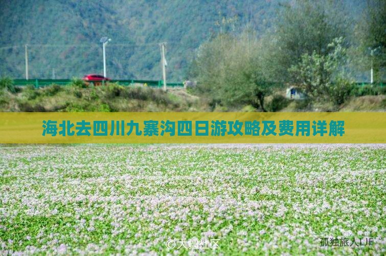 海北去四川九寨沟四日游攻略及费用详解