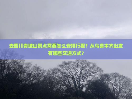 去四川青城山景点需要怎么安排行程？从乌鲁木齐出发有哪些交通方式？