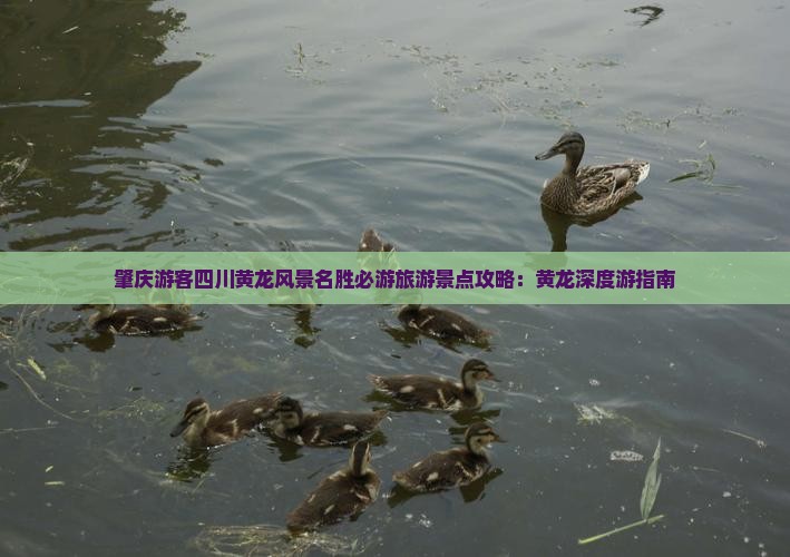肇庆游客四川黄龙风景名胜必游旅游景点攻略：黄龙深度游指南