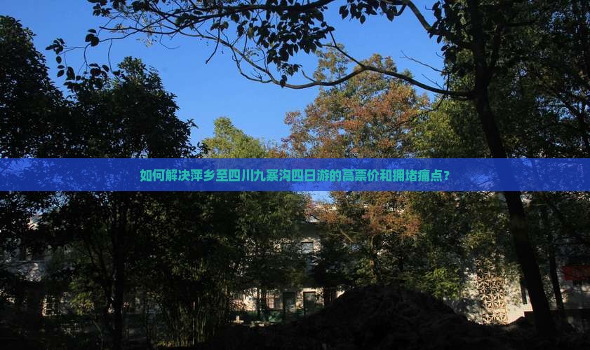 如何解决萍乡至四川九寨沟四日游的高票价和拥堵痛点？