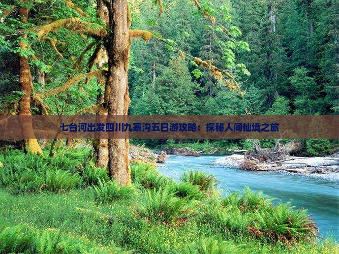 七台河出发四川九寨沟五日游攻略：探秘人间仙境之旅