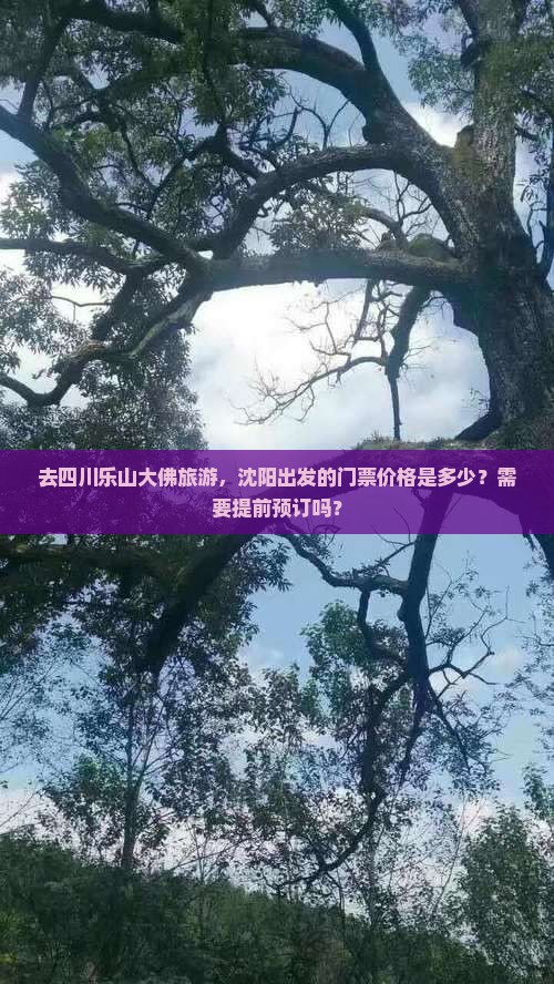 去四川乐山大佛旅游，沈阳出发的门票价格是多少？需要提前预订吗？