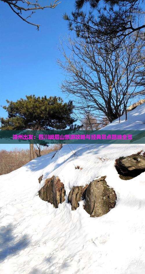 漳州出发：四川峨眉山旅游攻略与经典景点路线全览