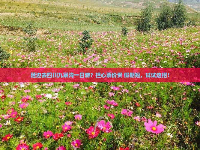 延边去四川九寨沟一日游？担心票价贵+假期短，试试这招！