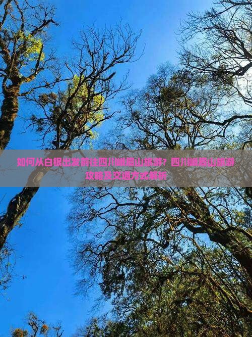 如何从白银出发前往四川峨眉山旅游？四川峨眉山旅游攻略及交通方式解析
