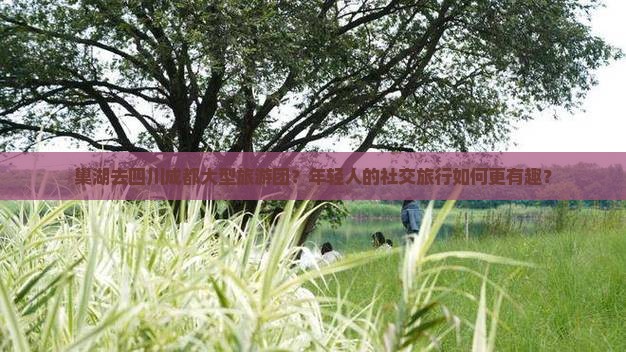 巢湖去四川成都大型旅游团？年轻人的社交旅行如何更有趣？