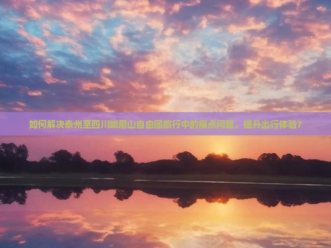 如何解决泰州至四川峨眉山自由团旅行中的痛点问题，提升出行体验？