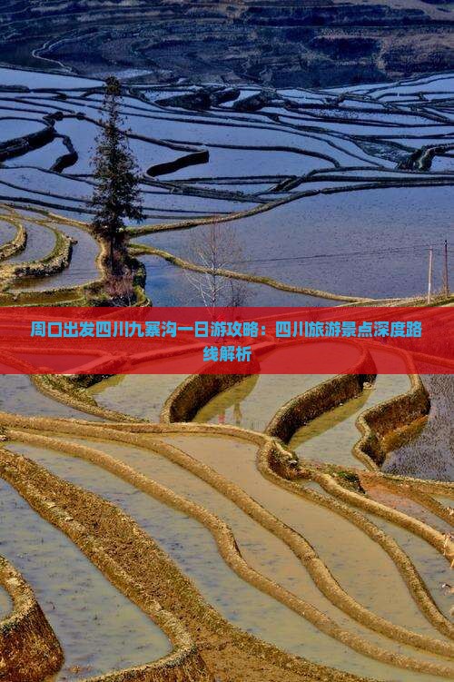 周口出发四川九寨沟一日游攻略：四川旅游景点深度路线解析