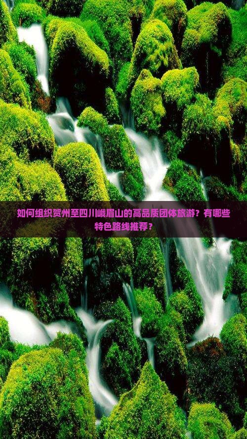 如何组织贺州至四川峨眉山的高品质团体旅游？有哪些特色路线推荐？