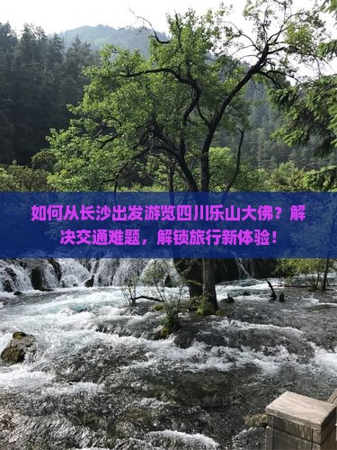 如何从长沙出发游览四川乐山大佛？解决交通难题，解锁旅行新体验！