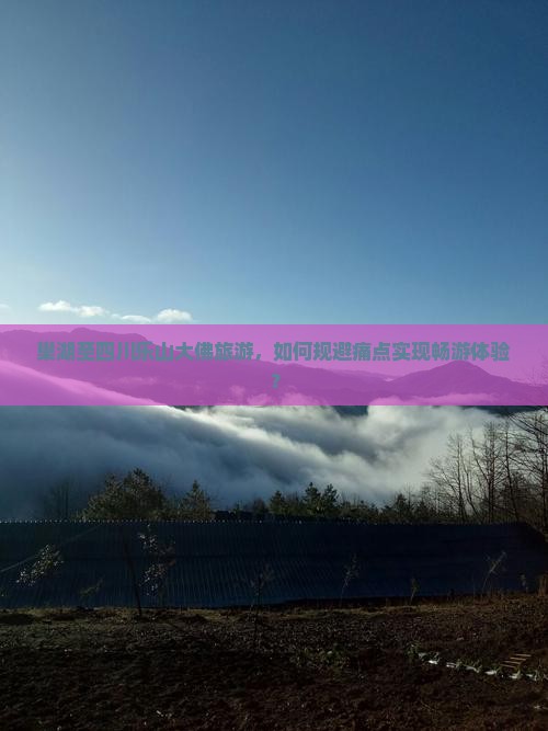 巢湖至四川乐山大佛旅游，如何规避痛点实现畅游体验？