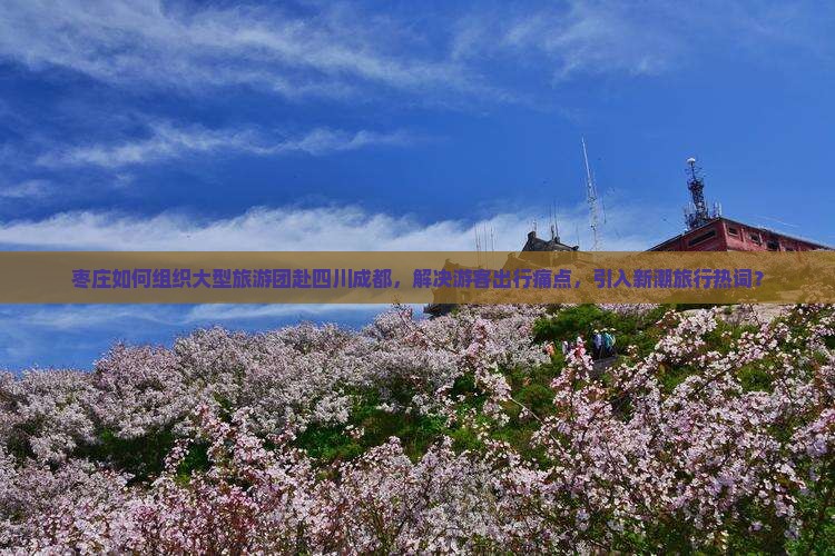 枣庄如何组织大型旅游团赴四川成都，解决游客出行痛点，引入新潮旅行热词？