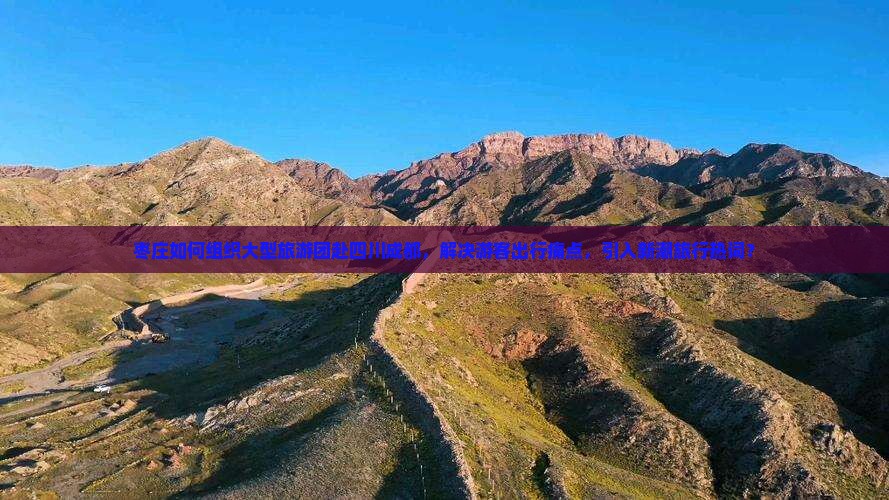 枣庄如何组织大型旅游团赴四川成都，解决游客出行痛点，引入新潮旅行热词？