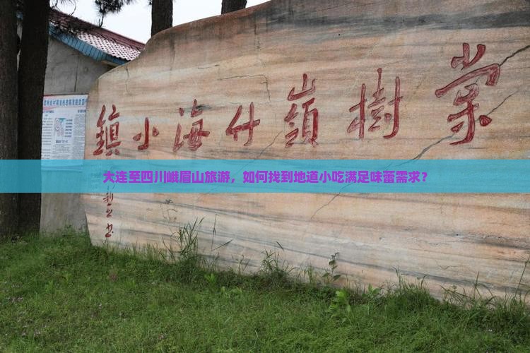 大连至四川峨眉山旅游，如何找到地道小吃满足味蕾需求？