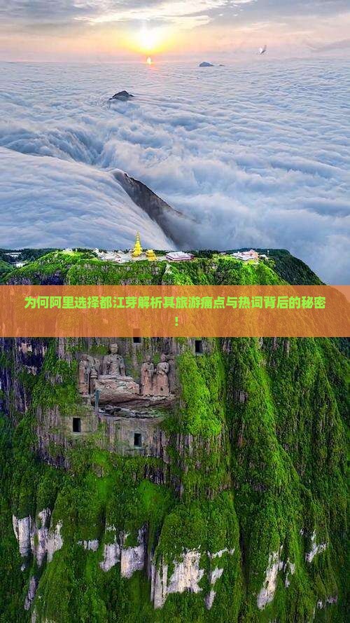 为何阿里选择都江芽解析其旅游痛点与热词背后的秘密！