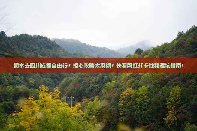 衡水去四川成都自由行？担心攻略太麻烦？快看网红打卡地和避坑指南！
