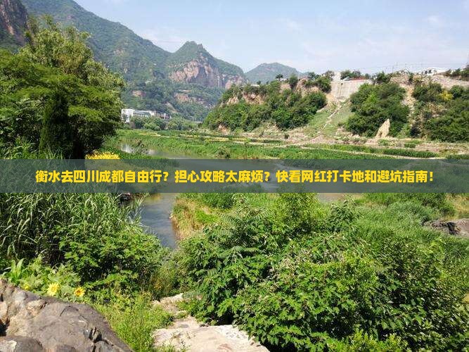 衡水去四川成都自由行？担心攻略太麻烦？快看网红打卡地和避坑指南！