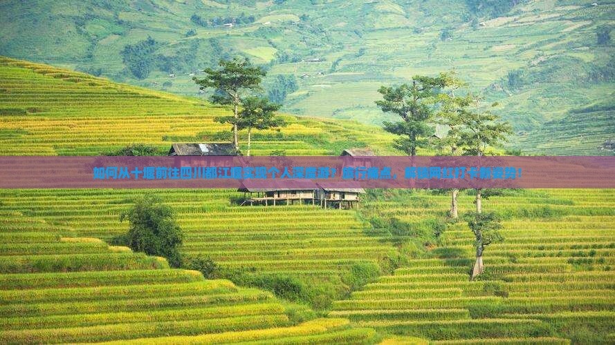 如何从十堰前往四川都江堰实现个人深度游？旅行痛点，解锁网红打卡新姿势！