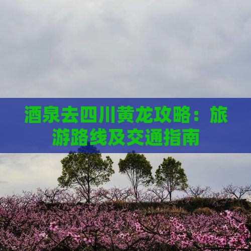 酒泉去四川黄龙攻略：旅游路线及交通指南
