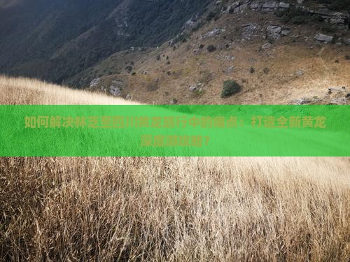 如何解决林芝至四川黄龙旅行中的痛点：打造全新黄龙深度游攻略？