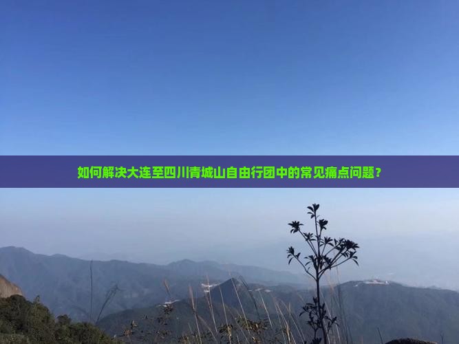 如何解决大连至四川青城山自由行团中的常见痛点问题？