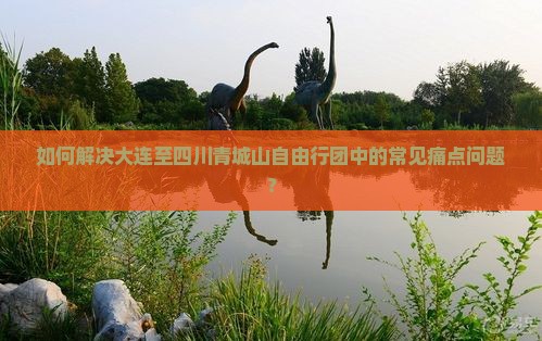如何解决大连至四川青城山自由行团中的常见痛点问题？